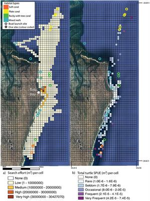 Spatial Distribution and Residency of Green and Loggerhead Sea Turtles Using Coastal Reef Habitats in Southern Mozambique